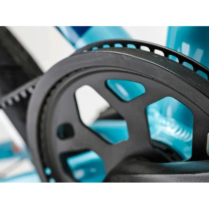 Scool Academy Grade 4 Belt